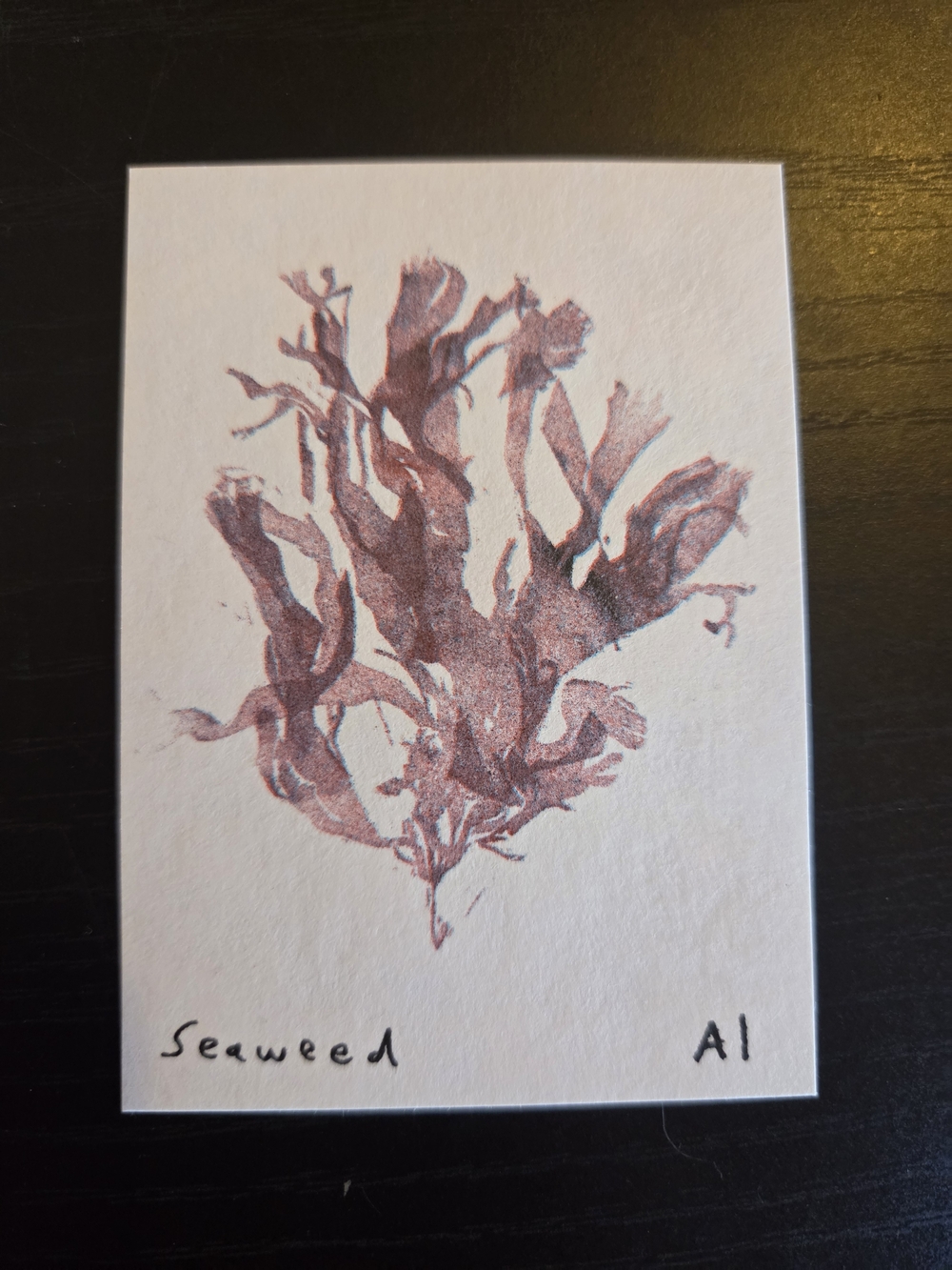 Inciardi Mini Print - Seaweed